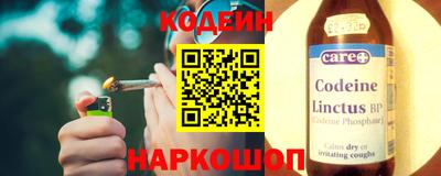 индика Гатчина