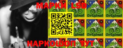 индика Гагарин