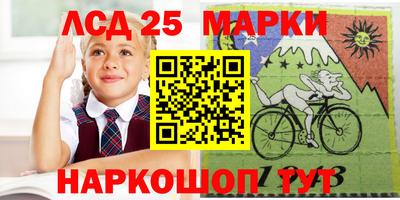 индика Гатчина