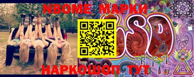 индика Гагарин