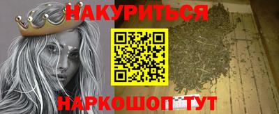 индика Гатчина