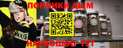 индика Гатчина