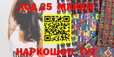 индика Гатчина