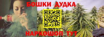 МДПВ Гай