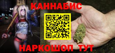индика Гатчина