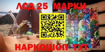 индика Гатчина