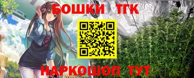 индика Гатчина