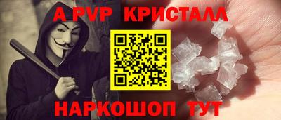 индика Гатчина