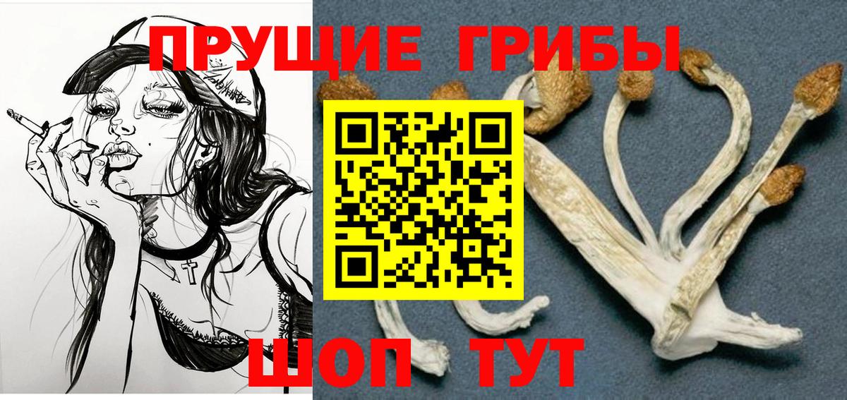 Псилоцибиновые грибы Cubensis  Вход с VPN  цена   Мценск  Псилоцибиновые грибы MAGIC MUSHROOMS 